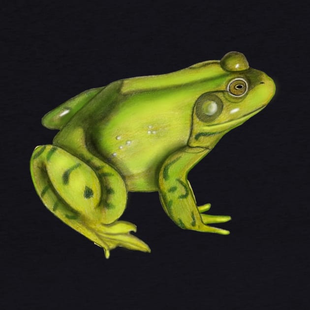 American Bullfrog Drawing by ArtAndBliss